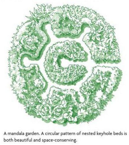 The Shape of Nature