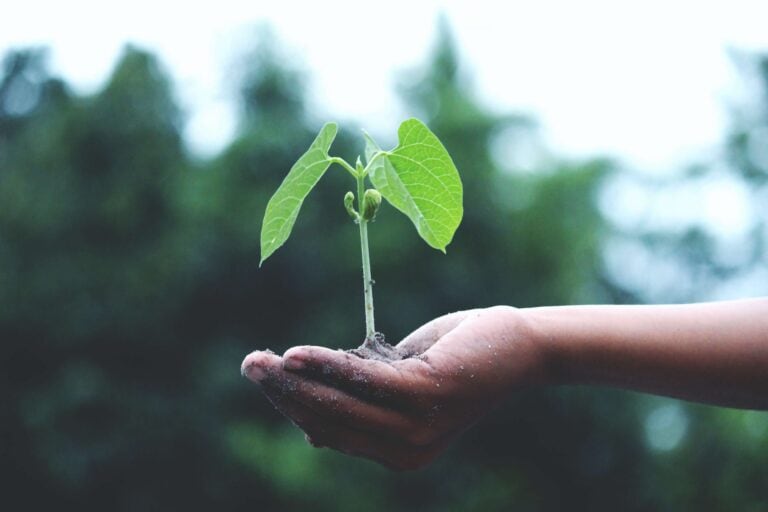 12 Steps To Sustainability