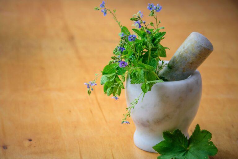 The Power Of Herbs