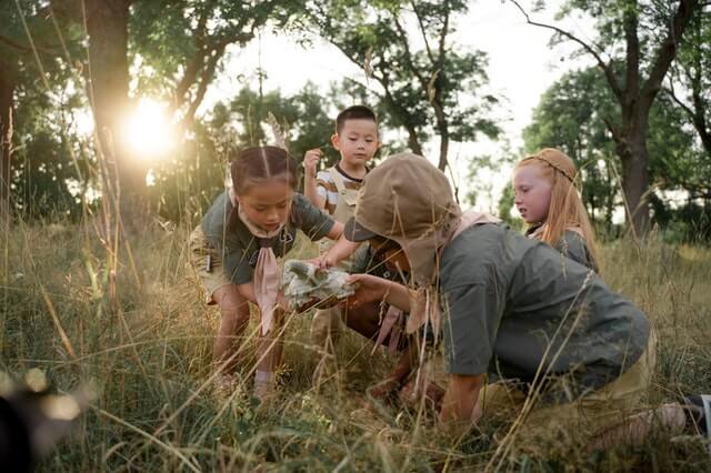 How To Grow Your Own Permaculture Food Forest in 5 years or less!