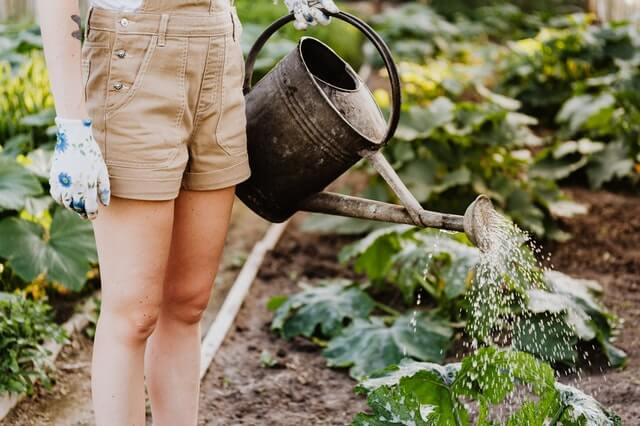 How to use the patterns and cycles in nature to basically guarantee success? What Exactly is Permaculture? 