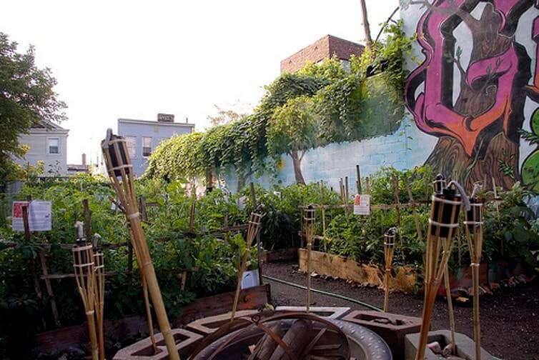 Not all community gardens are environmental equals