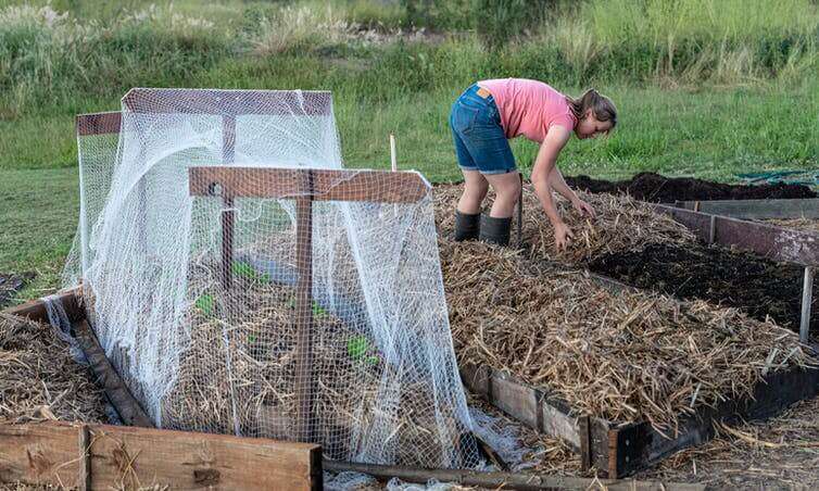 If you took to growing veggies in the coronavirus pandemic, then keep it up when lockdown ends