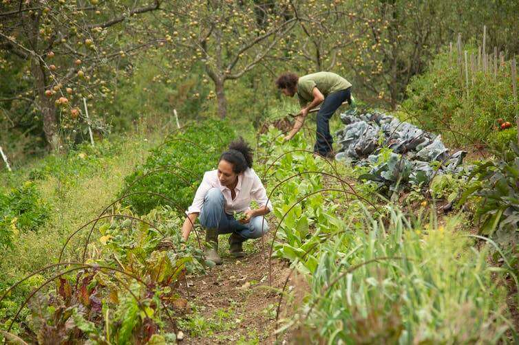 An environmental sociologist explains how permaculture offers a path to climate justice