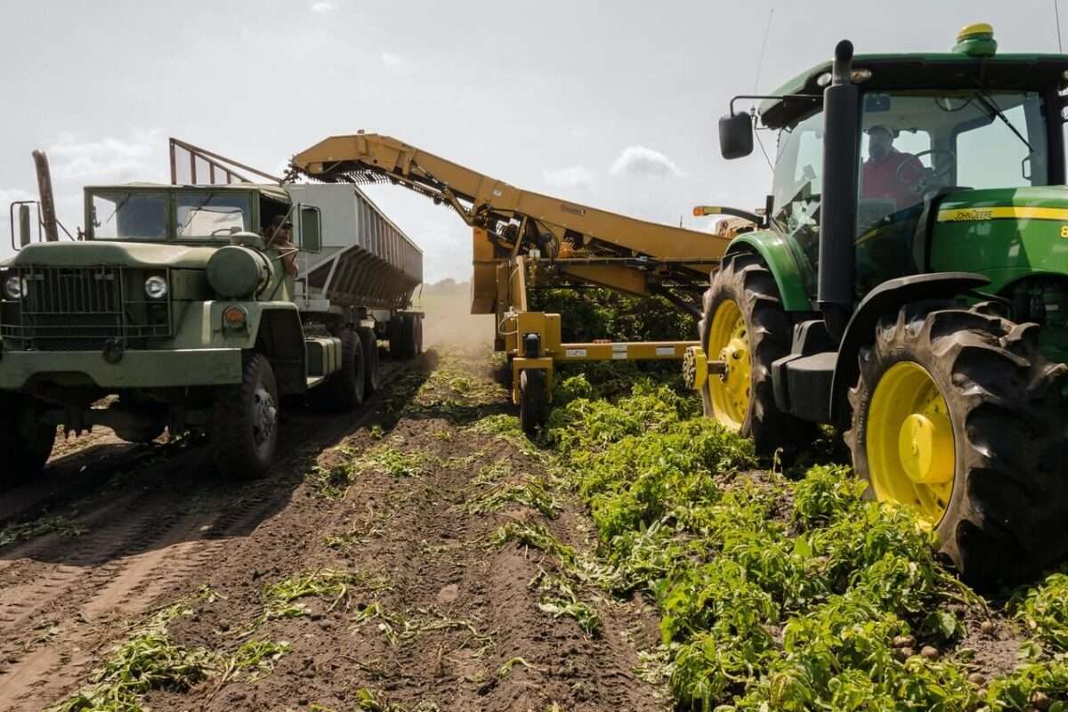 Is permaculture a sustainable agriculture?