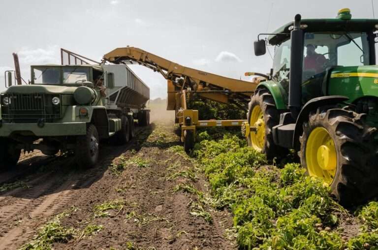Is permaculture a sustainable agriculture?
