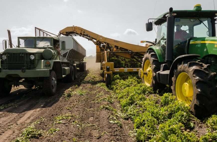Is permaculture a sustainable agriculture?
