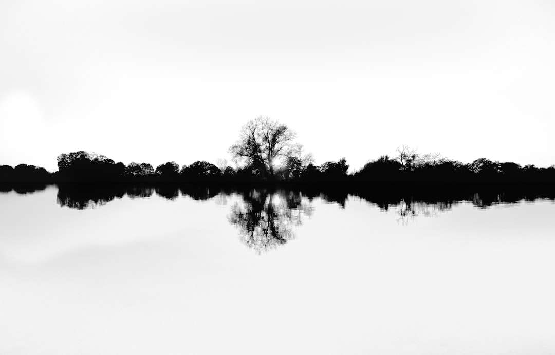 Image 186