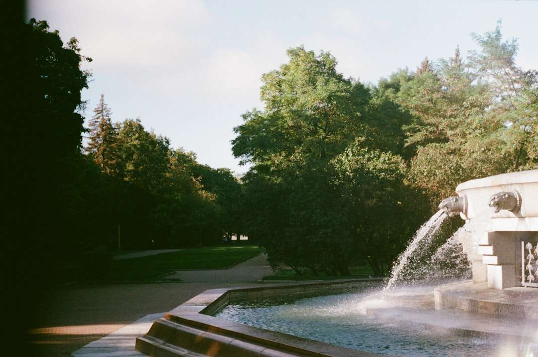 Image 53