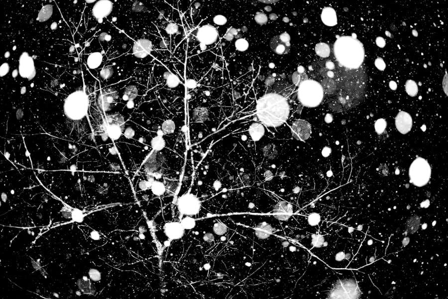 Mirror Neurons