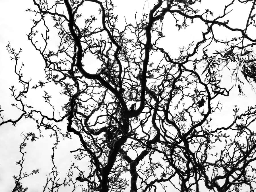 Neuroscience of Trust