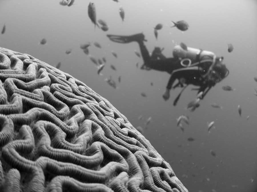 Cognitive Biases