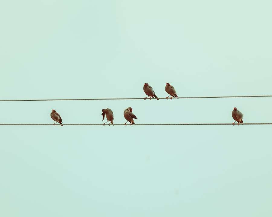 Collective Intelligence