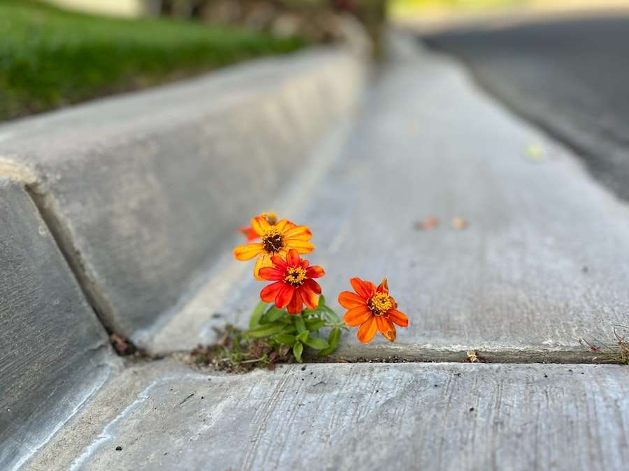 Resilience