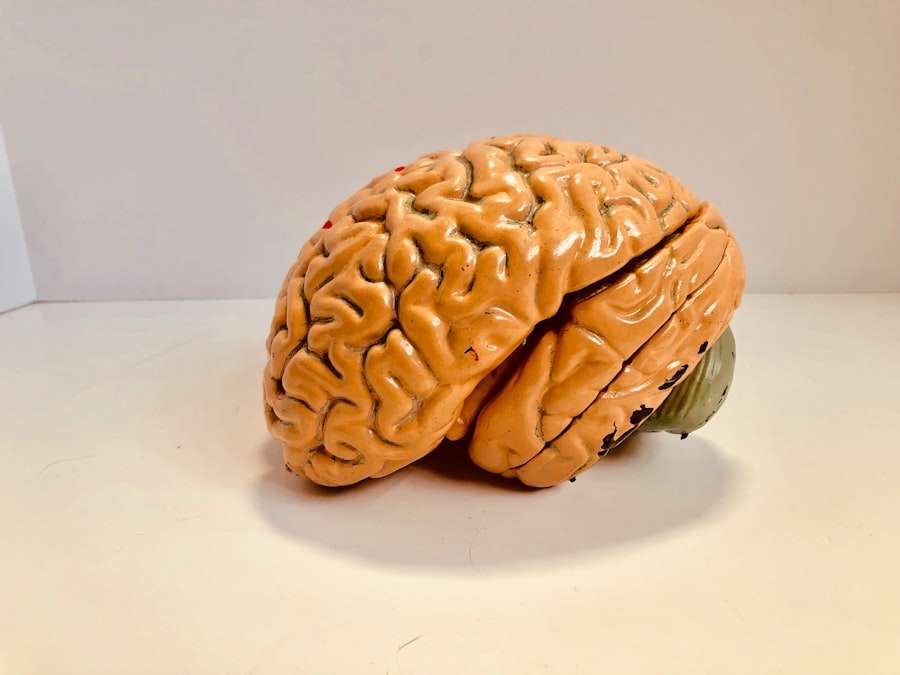 Neuro-Leader