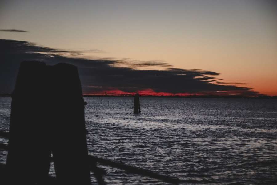 Attachment Theory