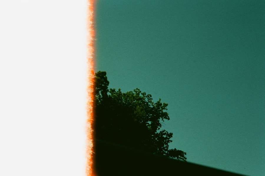 Photo Halo Effect