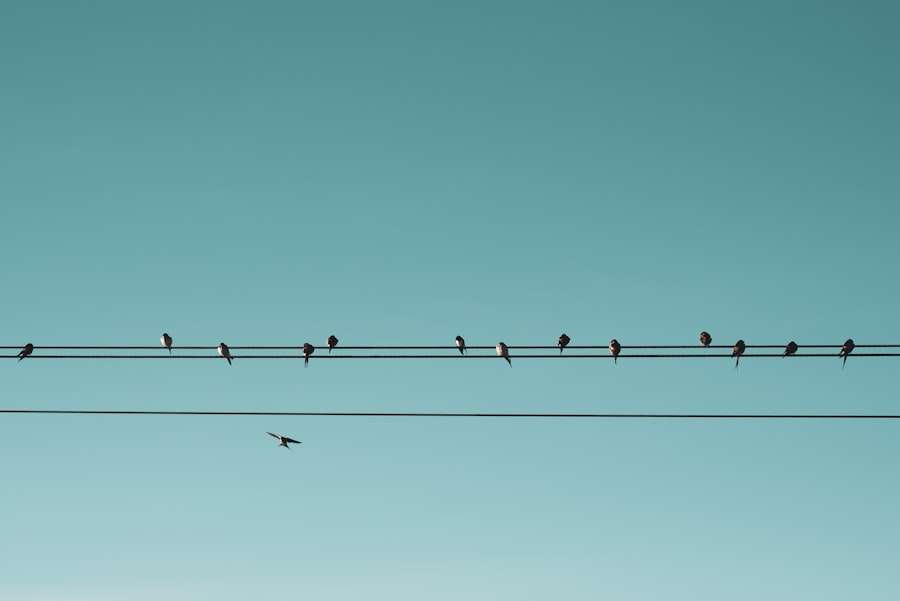 Photo Social Exchange Theory