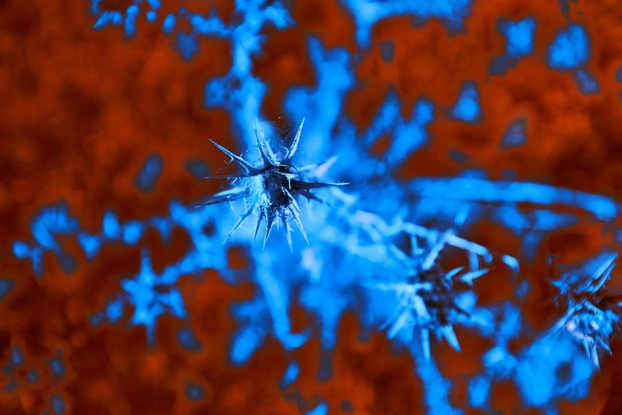 Photo Mirror Neurons