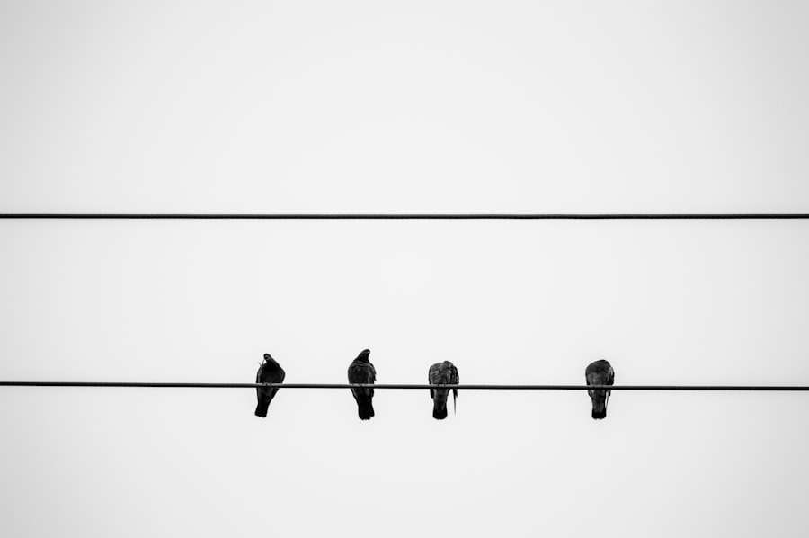 Photo communication styles