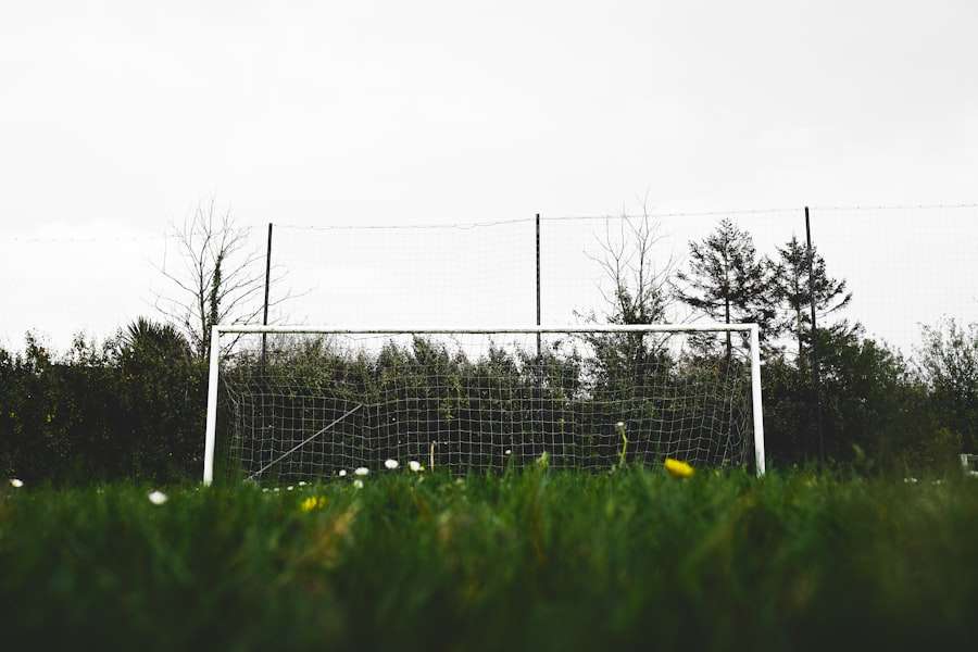 Photo goal setting theory