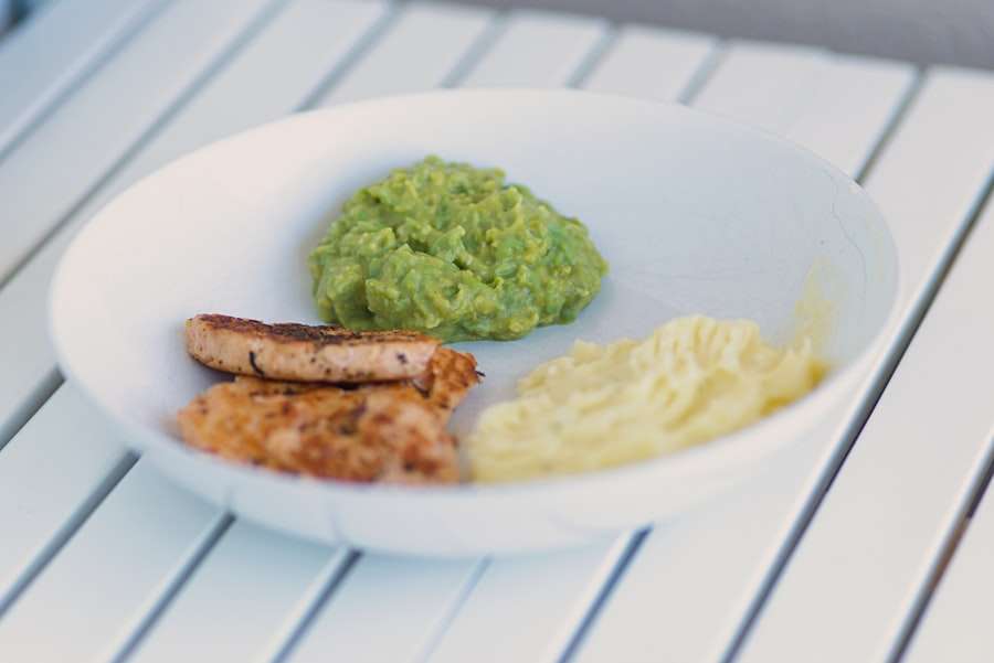 vegetarian diet