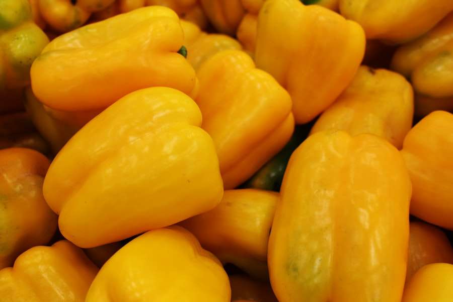 vegetarian recipes