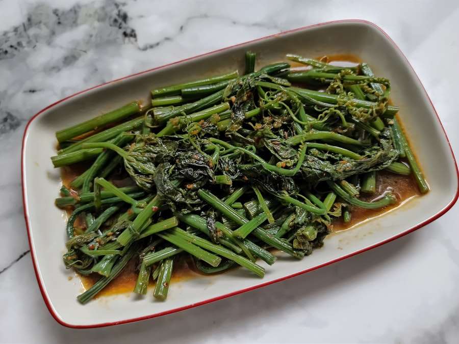 vegetarian diet