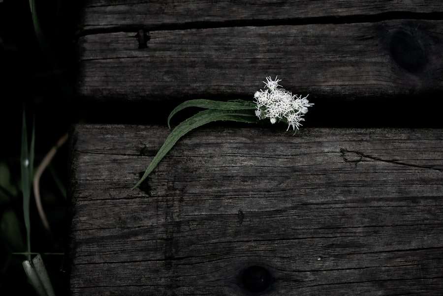 resilience
