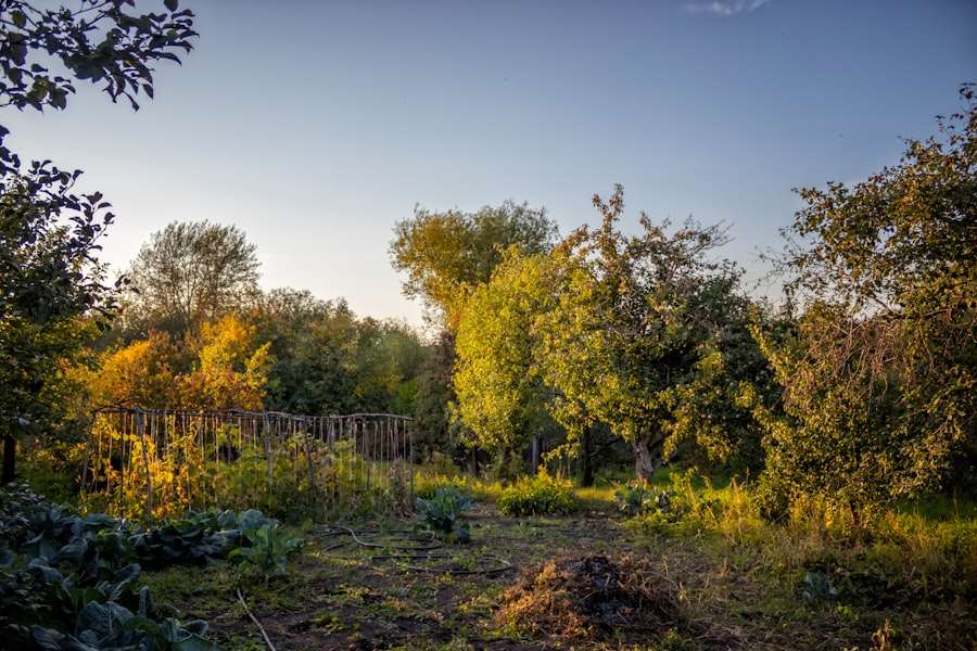 Permaculture Design
