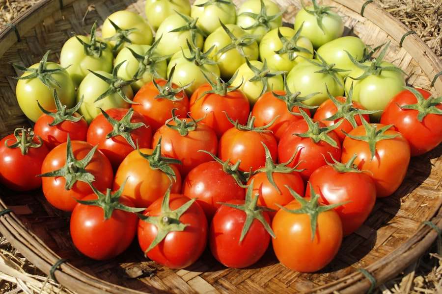 Permaculture Techniques